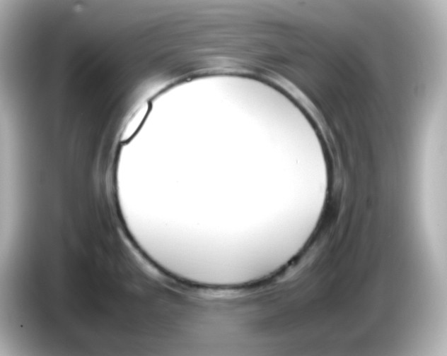 X0000085781293200704091405