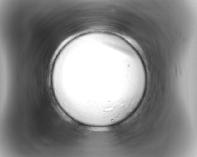 X0000085781296200704091405