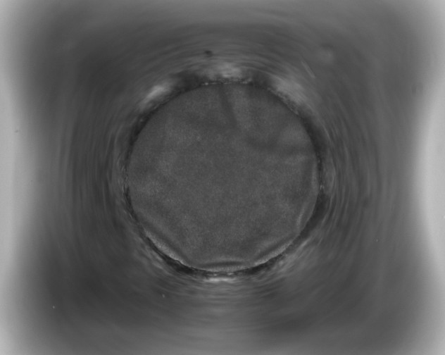 X0000085781297200704091404