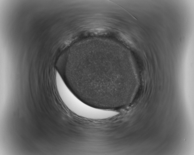 X0000085781298200704091404