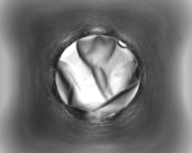 X0000085781301200704091404