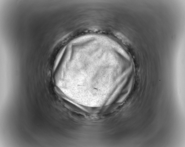 X0000085781302200704091404