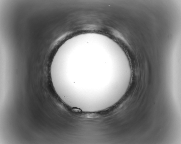 X0000085781304200704091404