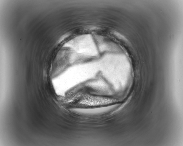 X0000085781305200704091404