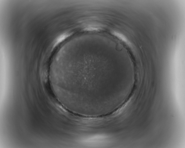 X0000085781306200704091404