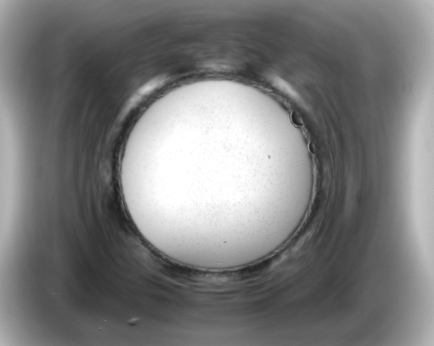 X0000085781307200704091404