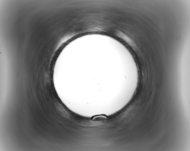 X0000085781308200704091404