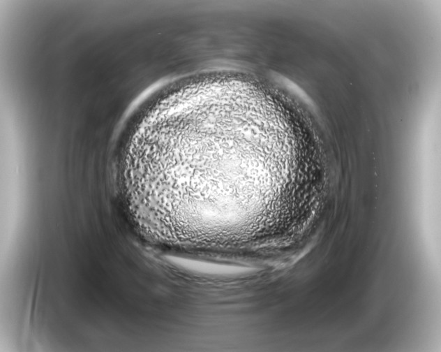 X0000085781310200704091404