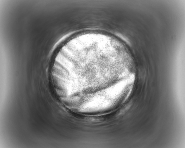 X0000085781311200704091404