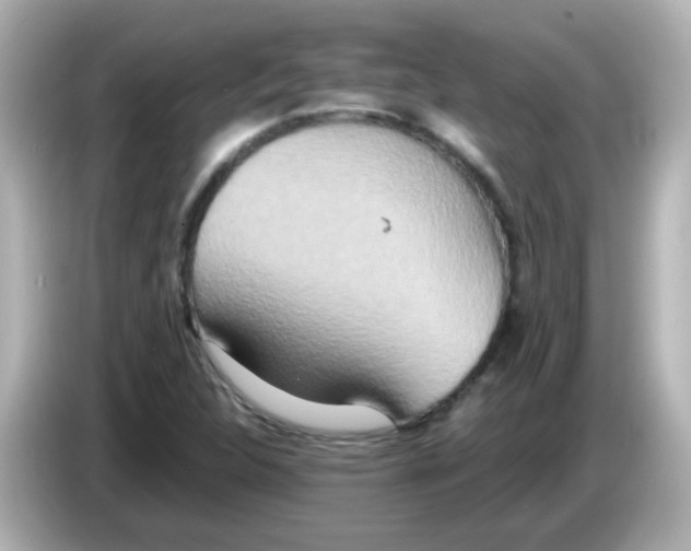 X0000085781312200704091404