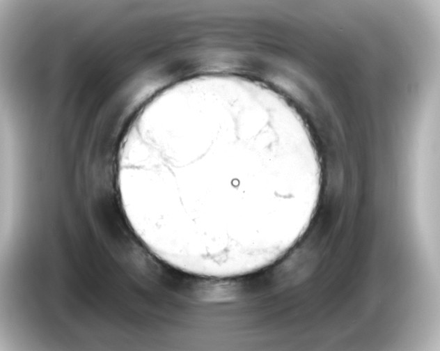 X0000085781314200704091404