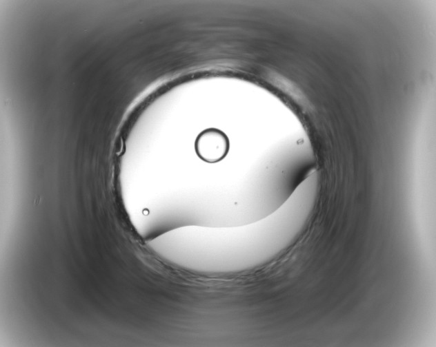 X0000085781316200704091404