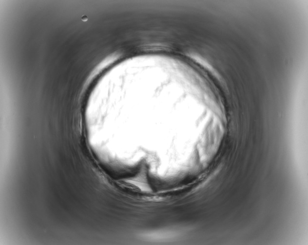 X0000085781317200704091404