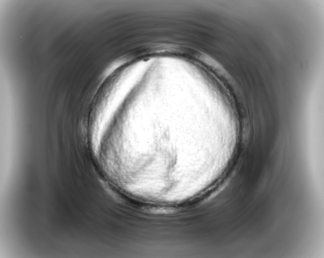 X0000085781321200704091404