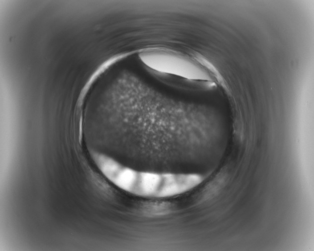 X0000085781323200704091404