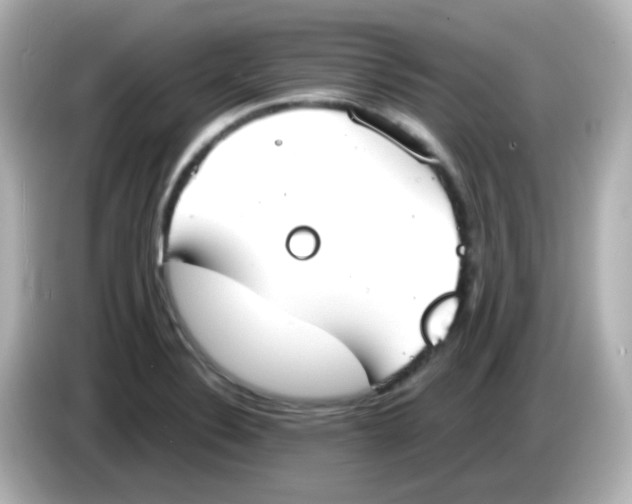 X0000085781324200704091404