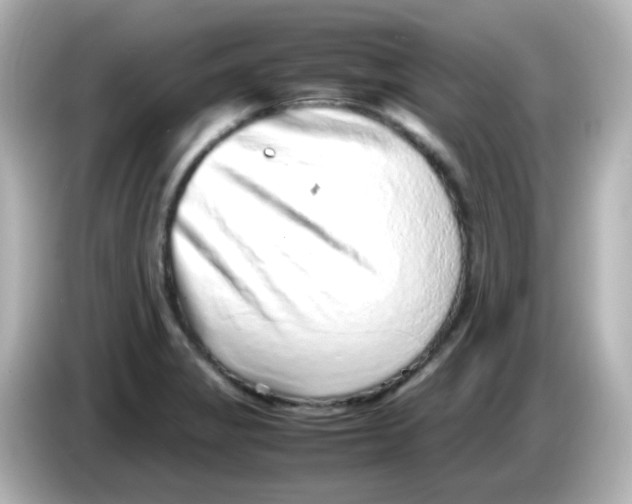 X0000085781325200704091404