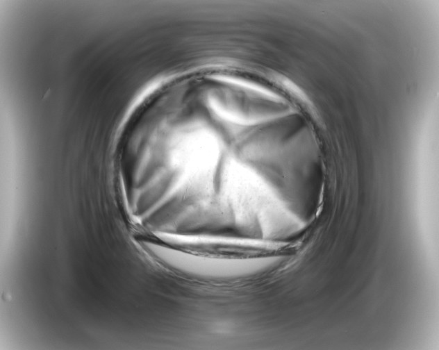 X0000085781326200704091405