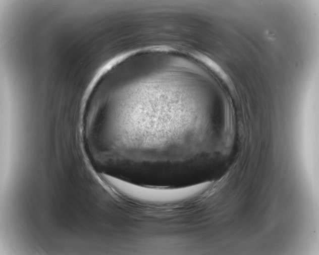 X0000085781327200704091405