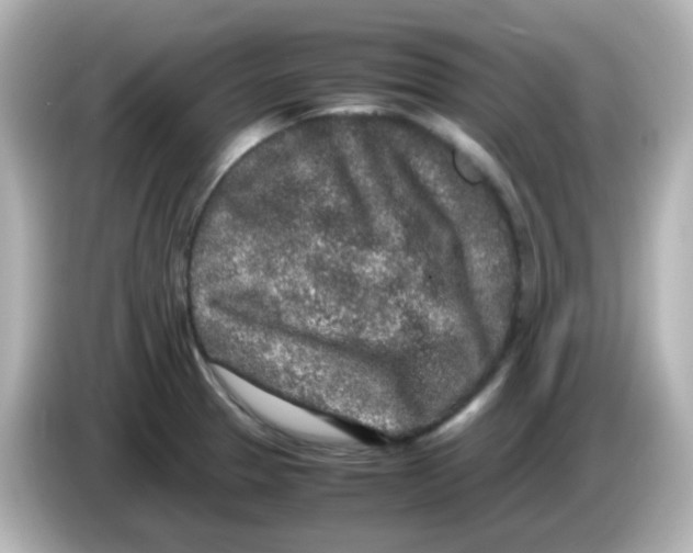 X0000085781329200704091405