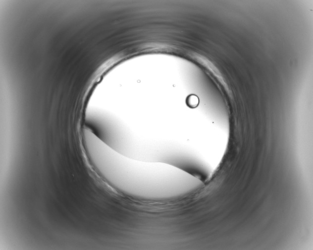 X0000085781330200704091405