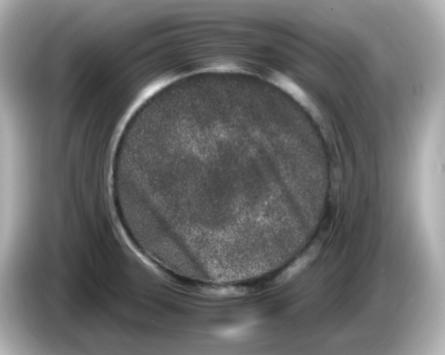 X0000085781331200704091405