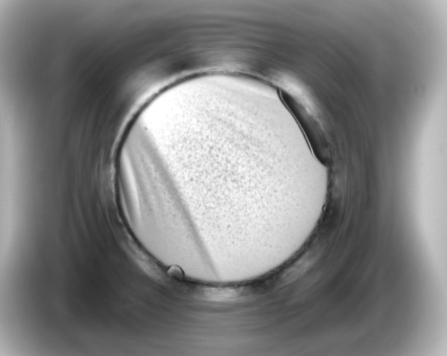 X0000085781332200704091405