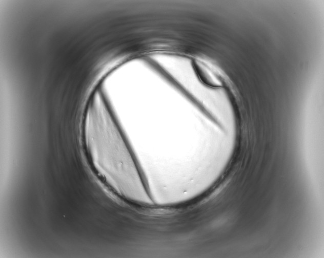 X0000085781333200704091405