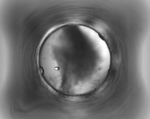 X0000085781334200704091405