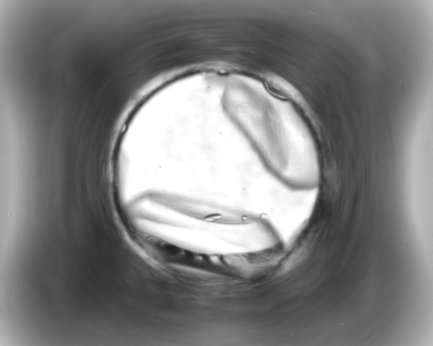 X0000085781335200704091405