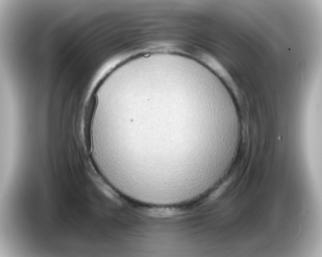 X0000085781336200704091405