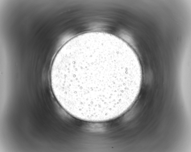 X0000085781338200704091405