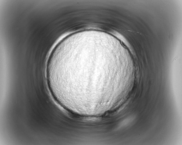 X0000085781339200704091405