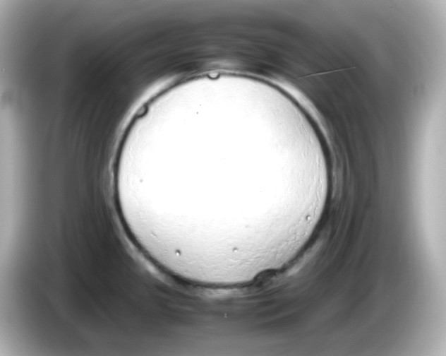 X0000085781341200704091405