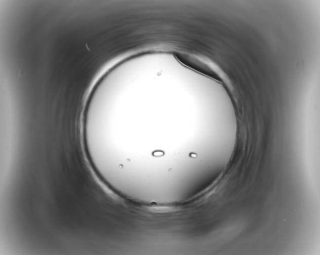 X0000085781343200704091405