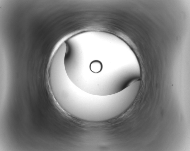 X0000085781344200704091405