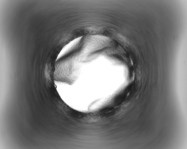 X0000085781346200704091404