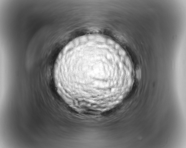 X0000085781347200704091404