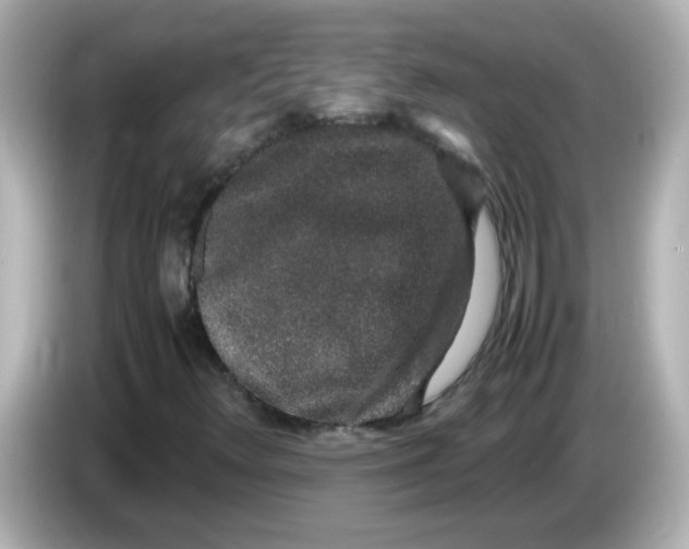 X0000085781348200704091404