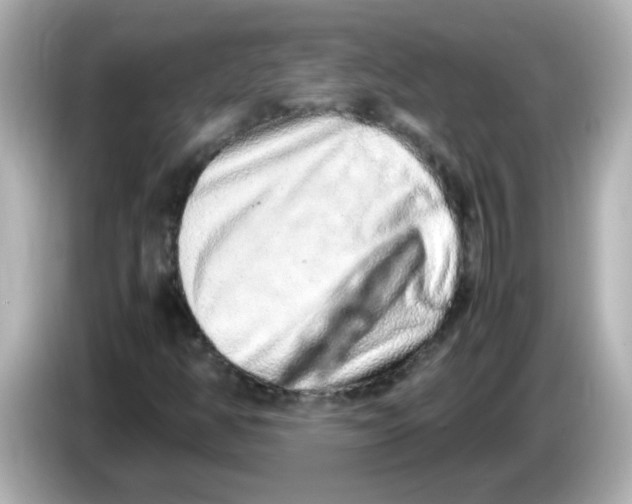 X0000085781350200704091404