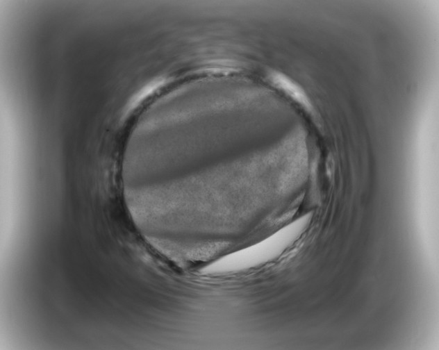 X0000085781352200704091404