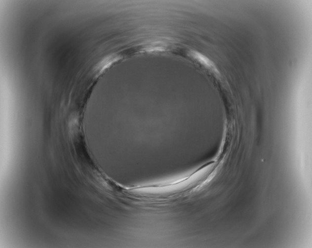 X0000085781353200704091404