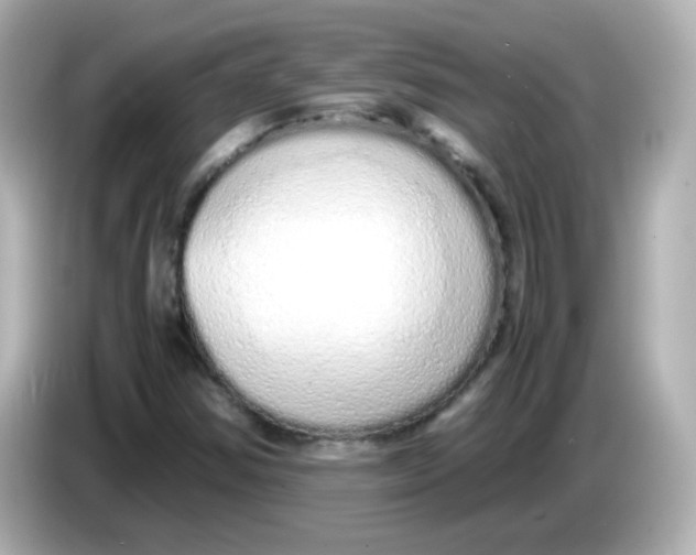 X0000085781354200704091404