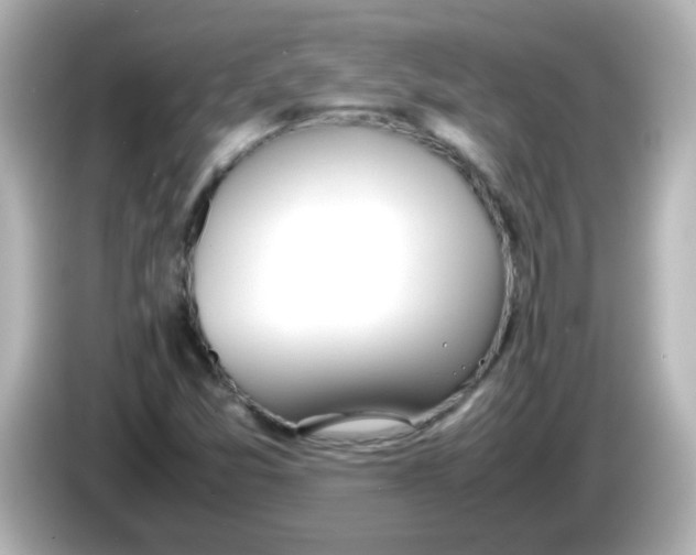 X0000085781357200704091404