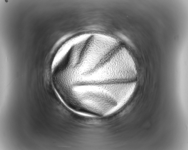 X0000085781358200704091404