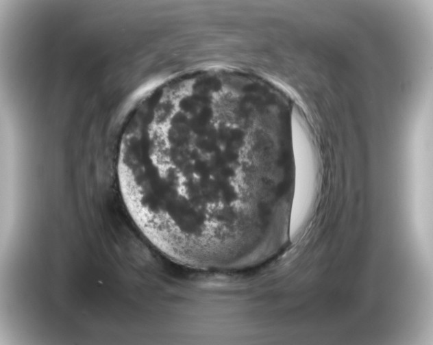 X0000085781359200704091404