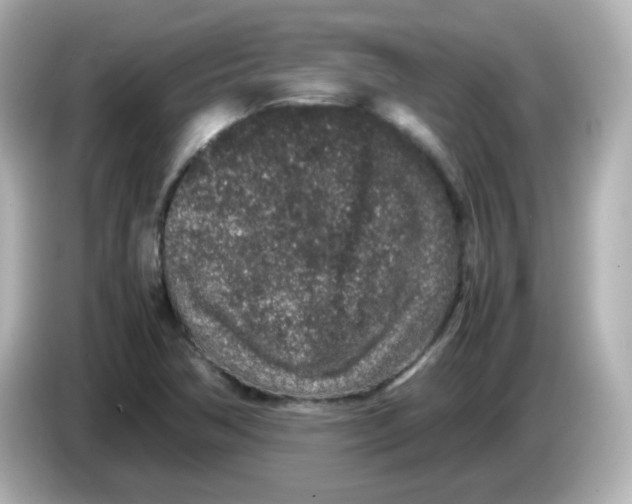 X0000085781362200704091404