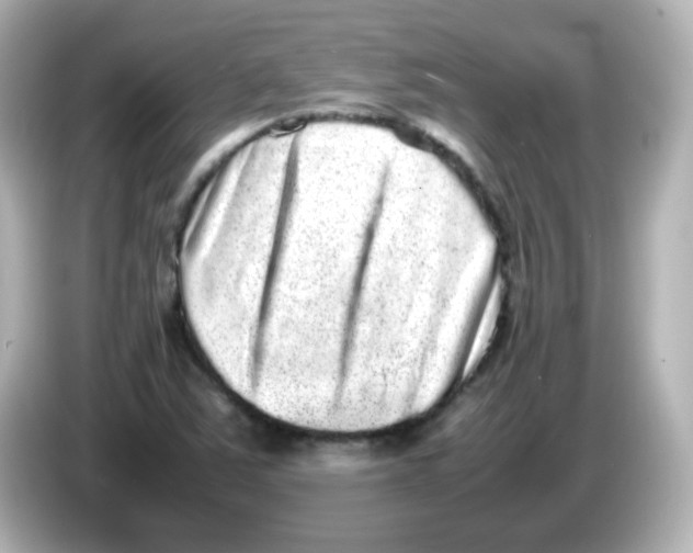 X0000085781363200704091404