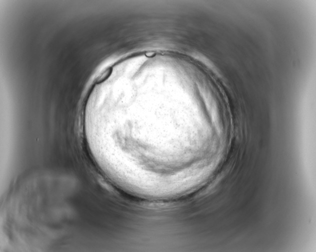 X0000085781366200704091404