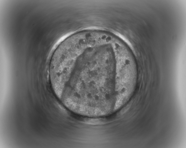 X0000085781367200704091404